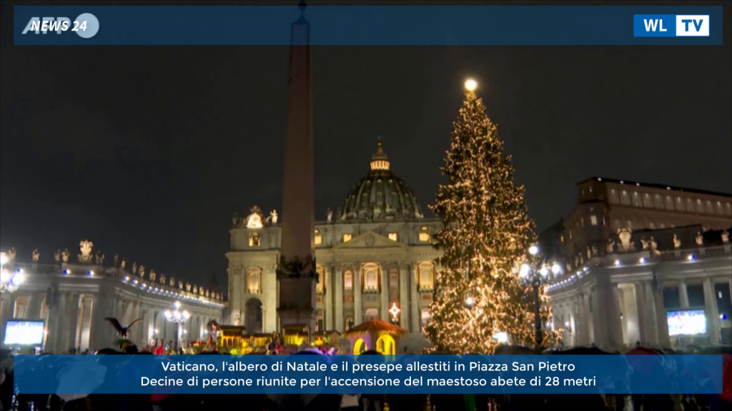 Vaticano, l'albero di Natale e il presepe allestiti in Piazza San Pietro