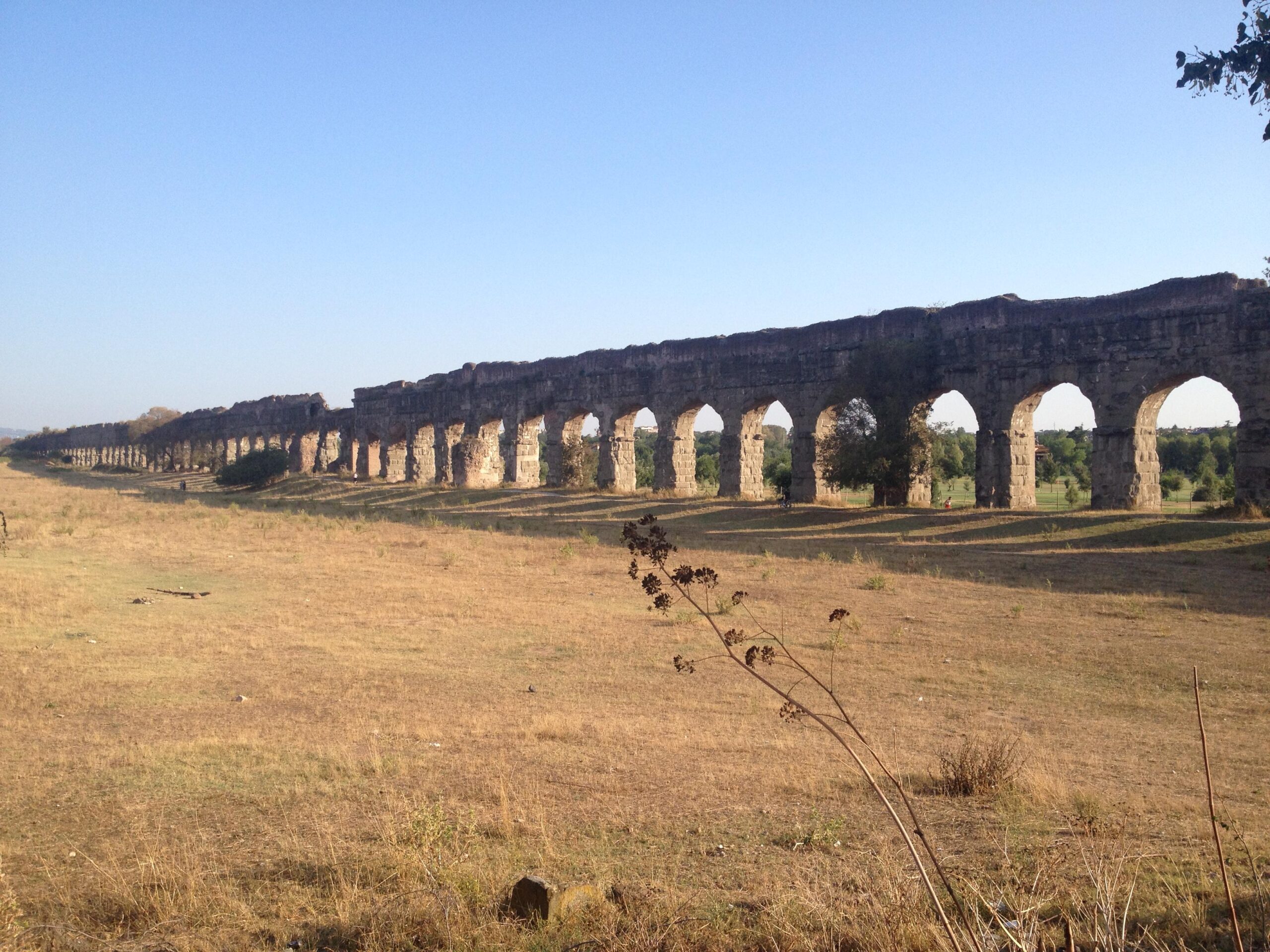 Il Cavalier Serpente N° 552 – Ambientalisti