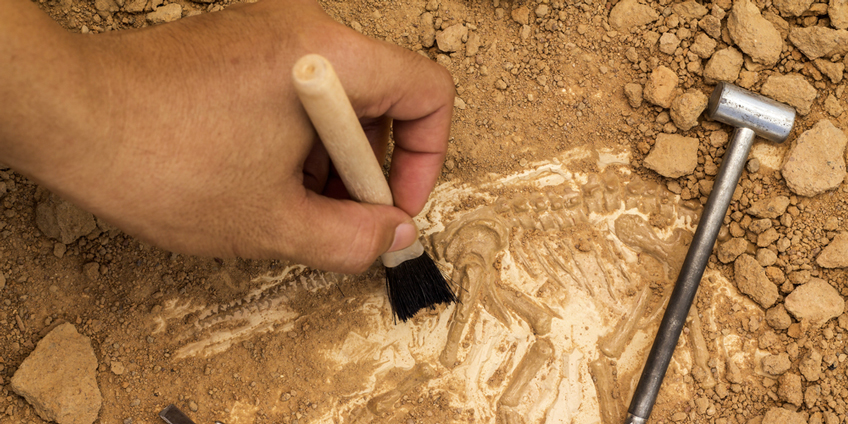 Da domani in tutta Europa e fino a Domenica si svolgeranno le Giornate Europee dell’Archeologia. Tanti gli eventi in Italia!