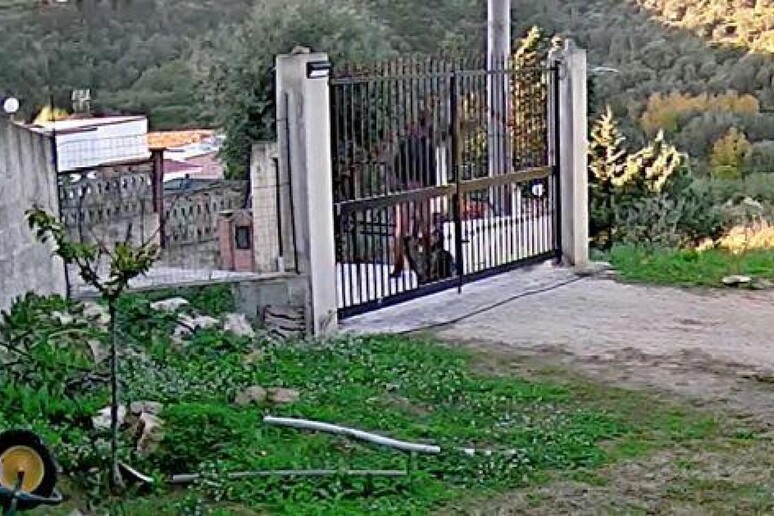 Sicilia – Omicidio di Partinico – Uccise l’amante incinta, Cassazione ordina un nuovo processo
